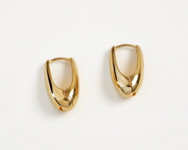 Drop Shape Earrings