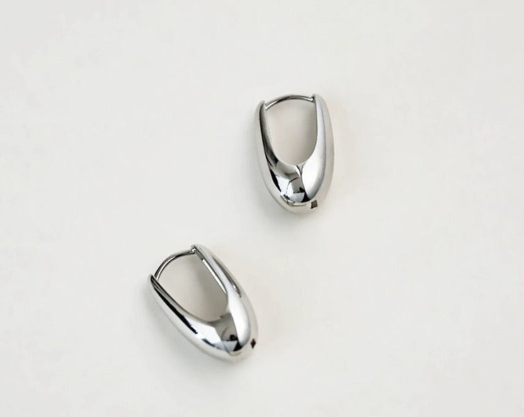 Drop Shape Earrings