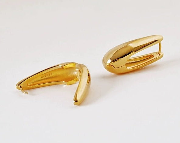 Drop Shape Earrings